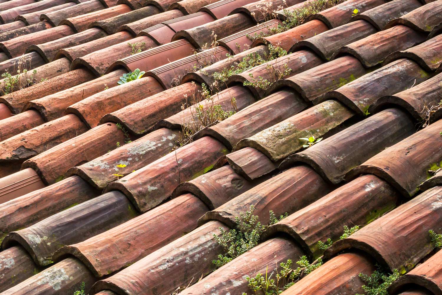 Photo de tuiles de toiture endommagées